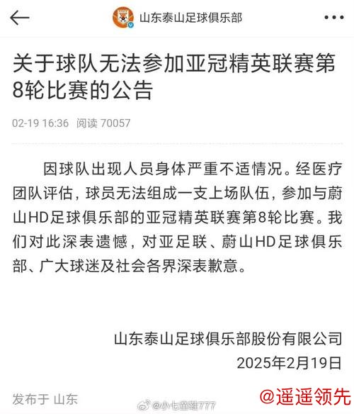 亚足联：山东泰山因亚冠退赛被禁赛两年并罚款